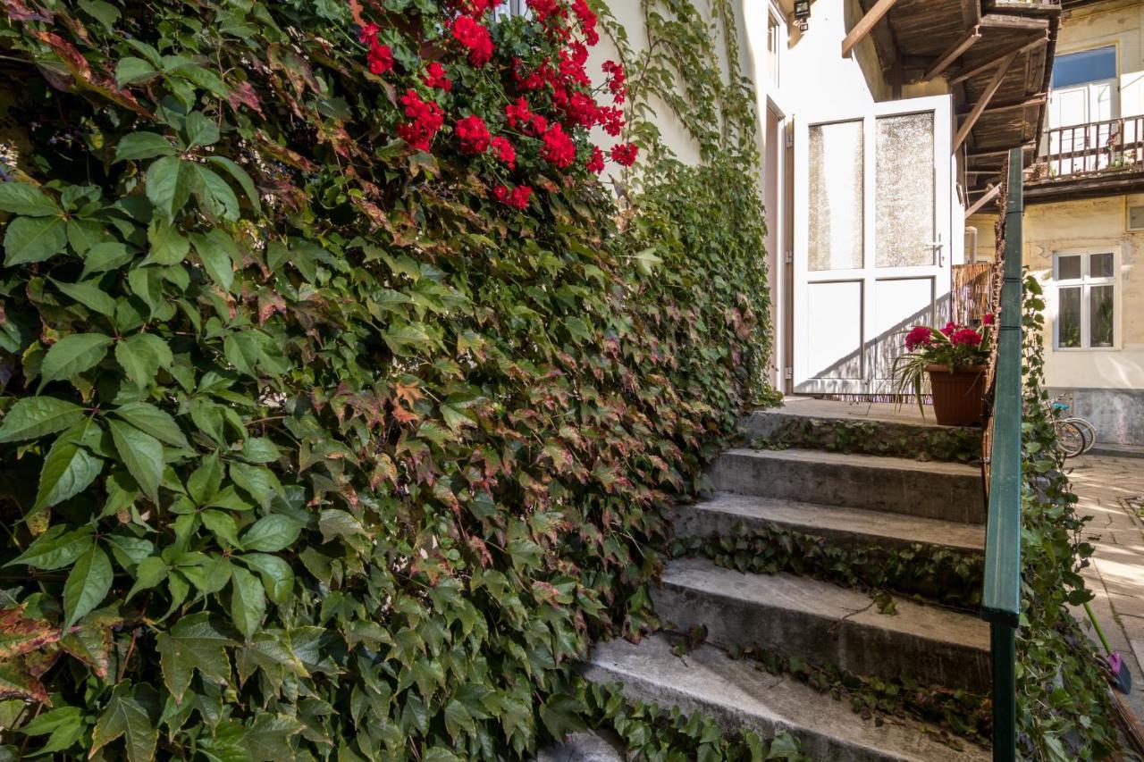 Cracow Best Location Apartment With Garden By Cozyplace 크라쿠프 외부 사진